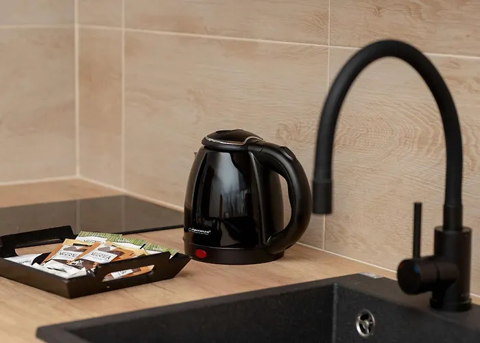 شقة Bright Near Motlawa River In By Renters