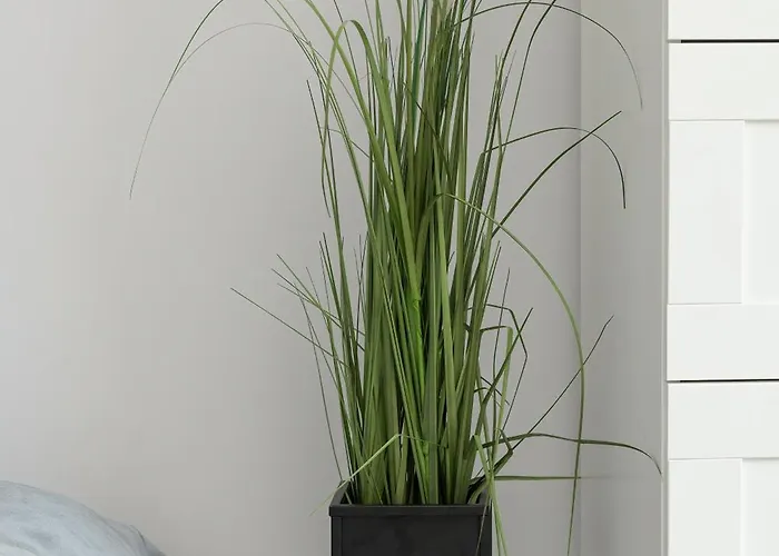 Bright Near Motława River In By Renters Gdańsk